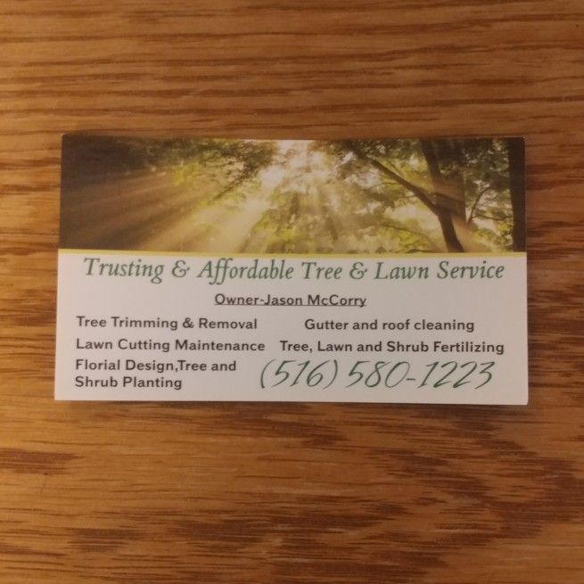 Trusting and Affordable Tree Service and Lawn Care