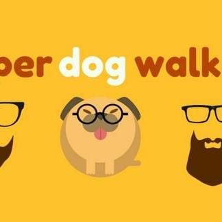 Dapper Dog Walkers