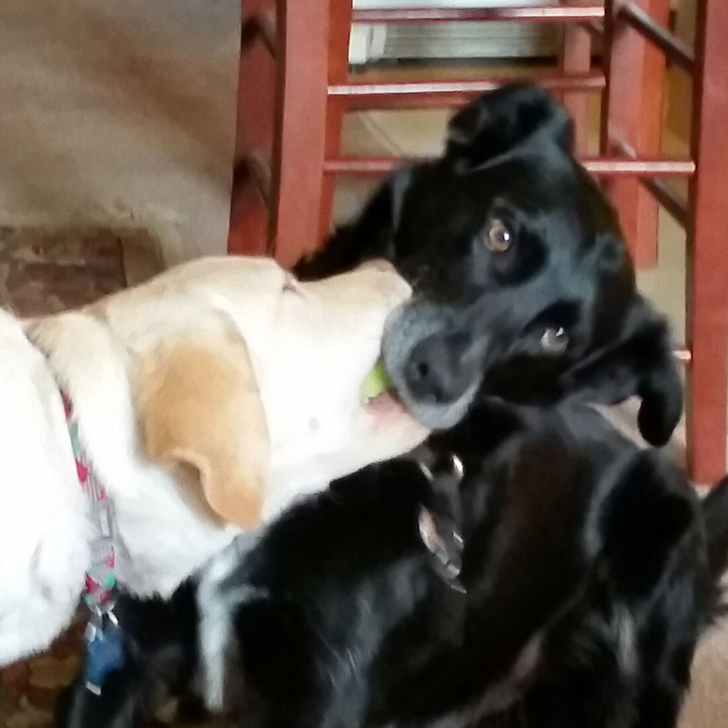 A balanced and healthy sharing of the ball 