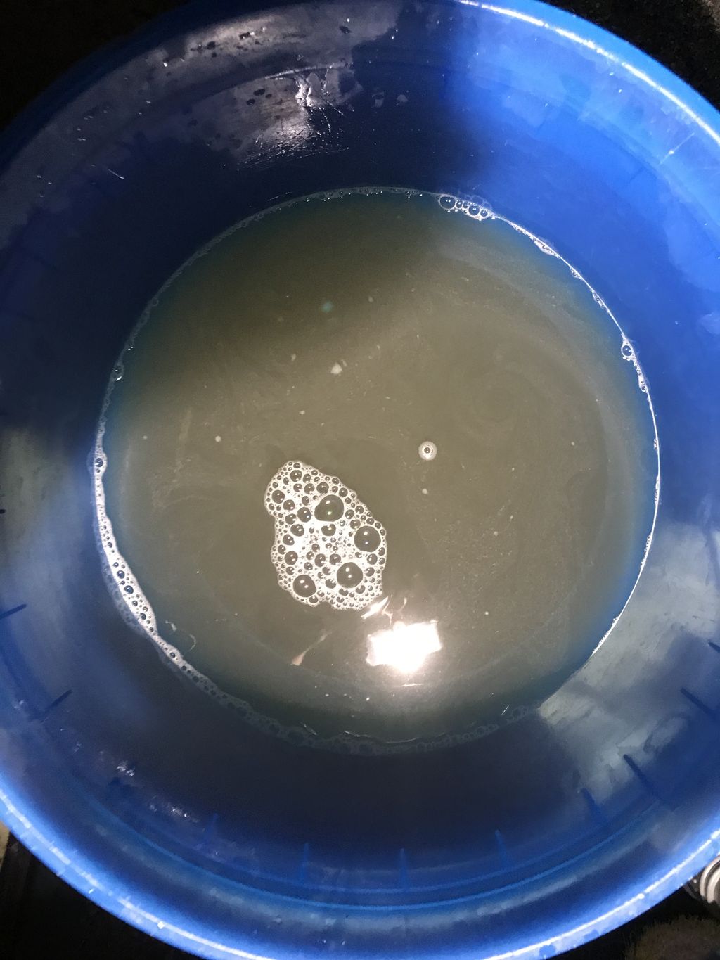 You think your carpet is not dirty? Guess again!