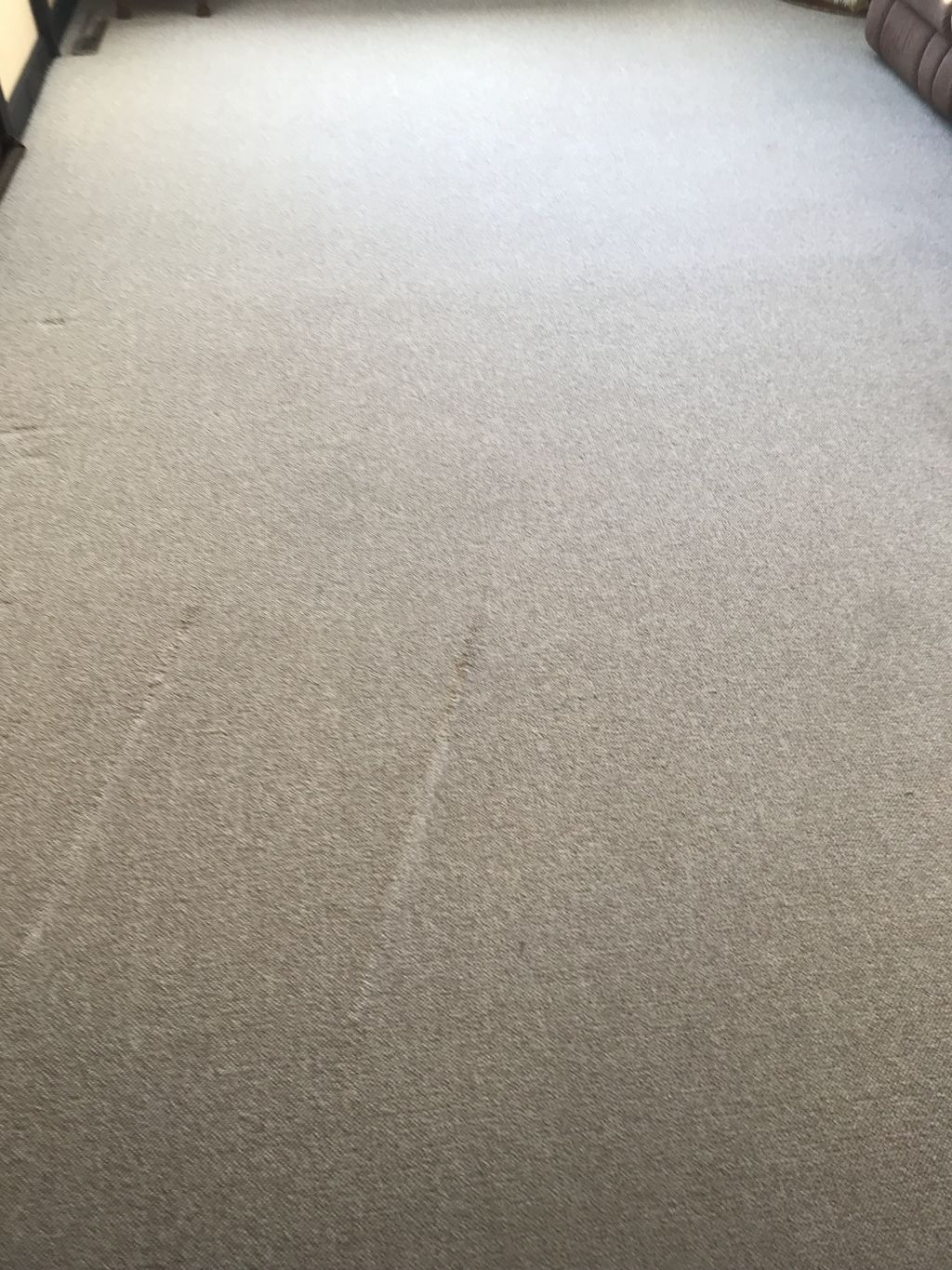 Clean carpet!