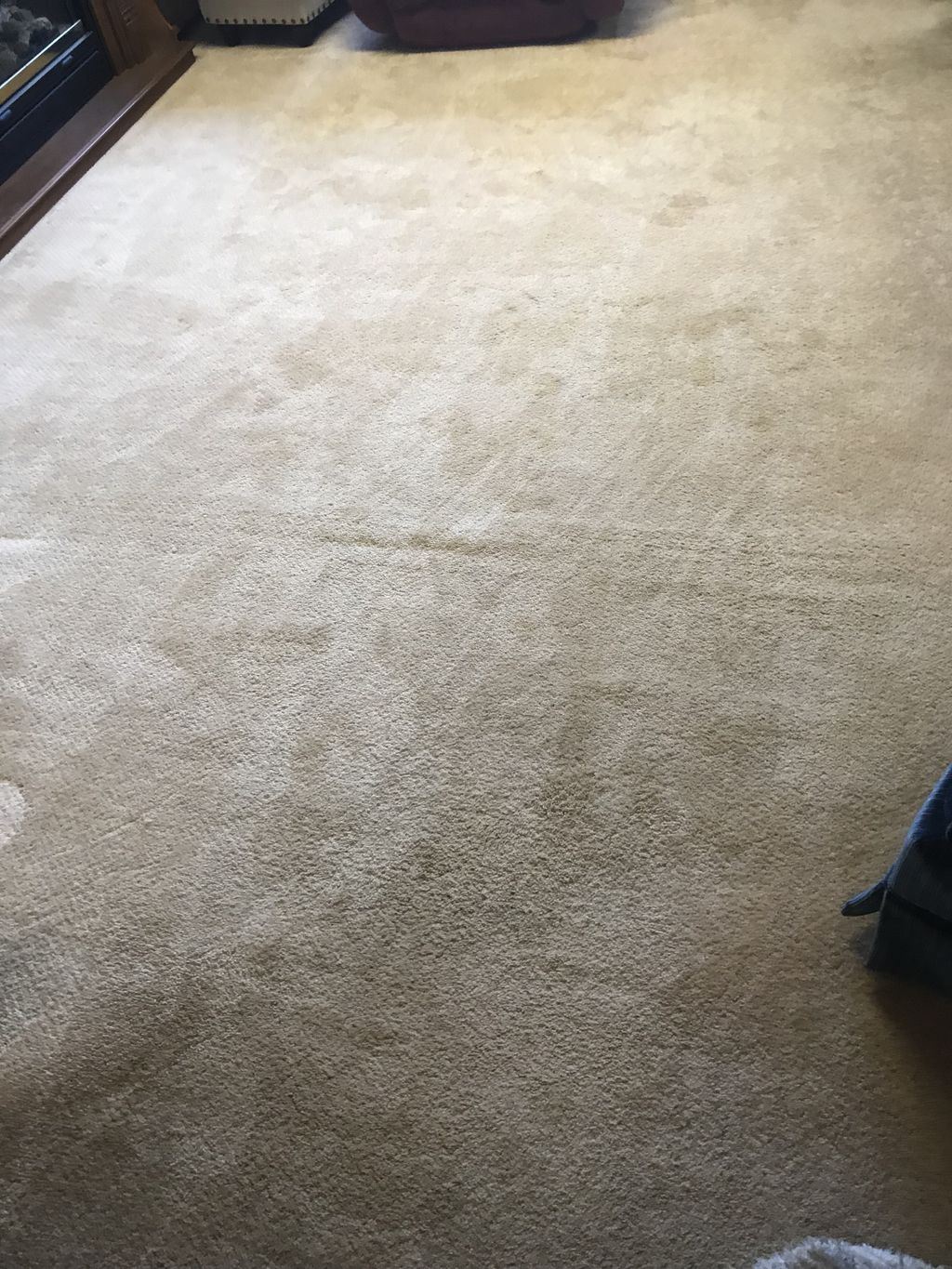 Dirty carpet 