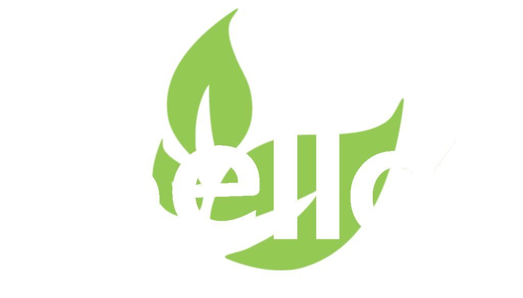 Bella Landscape & Construction, LLC