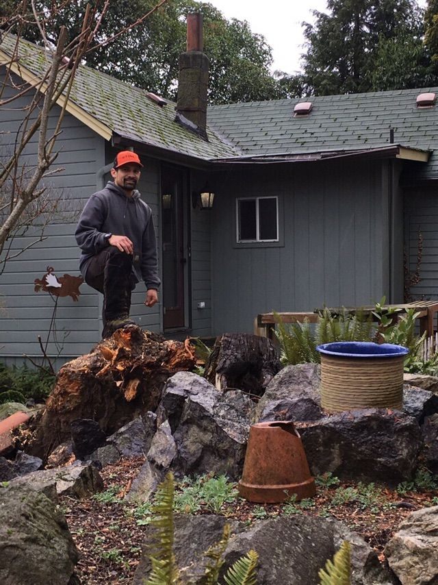ISA certified arborist George Coronado after compl