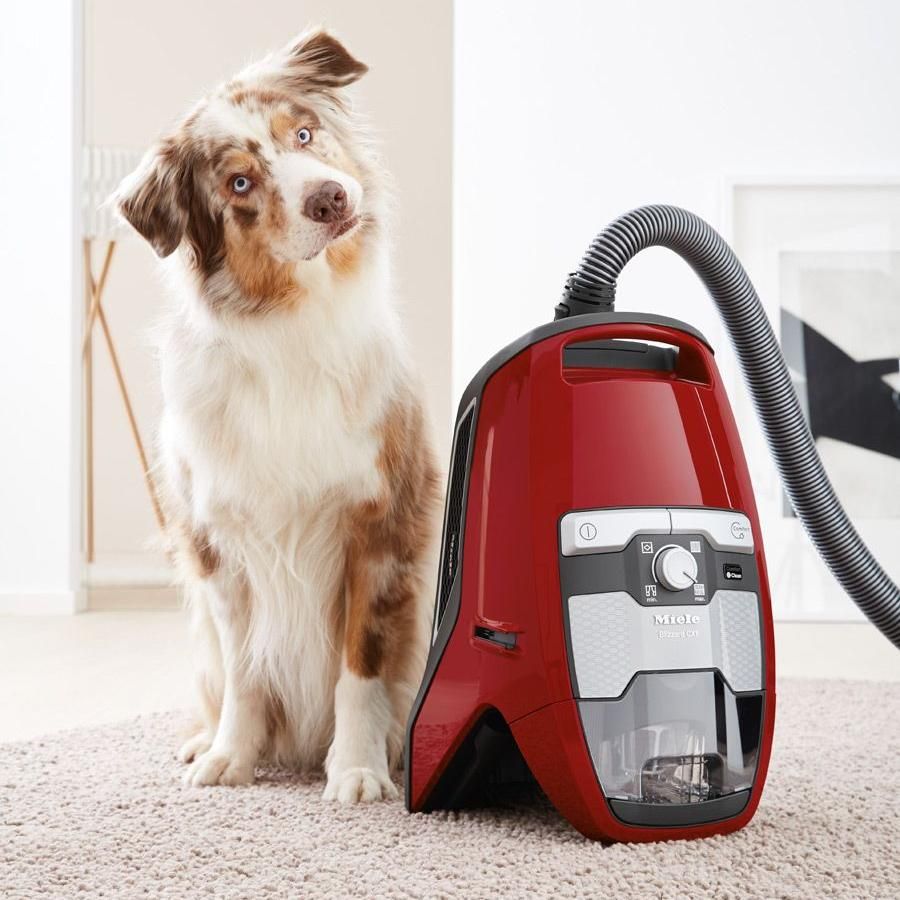 Red Vacuums