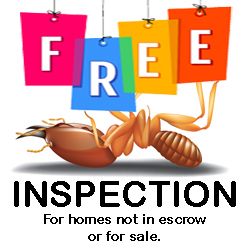 Free Termite Inspection