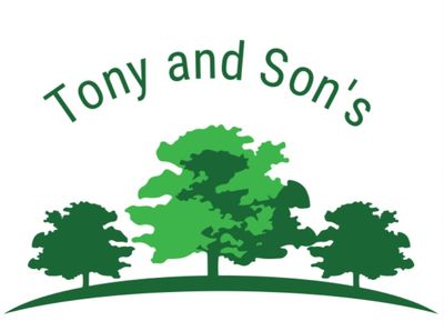 Avatar for Tony and Son’s
