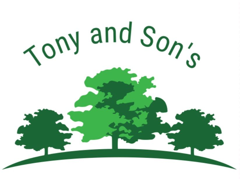 Tony and Son’s