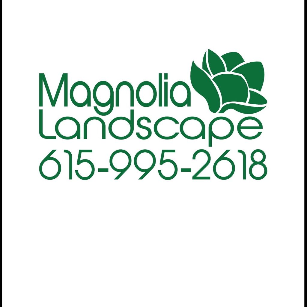 Magnolia Landscape