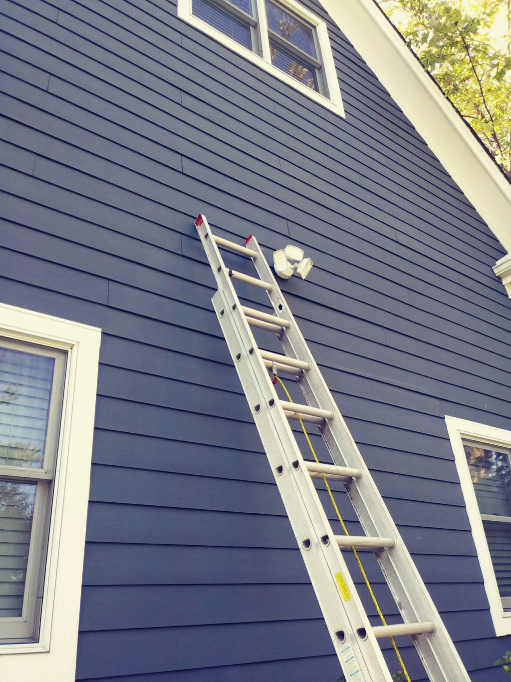 New security light fish in 