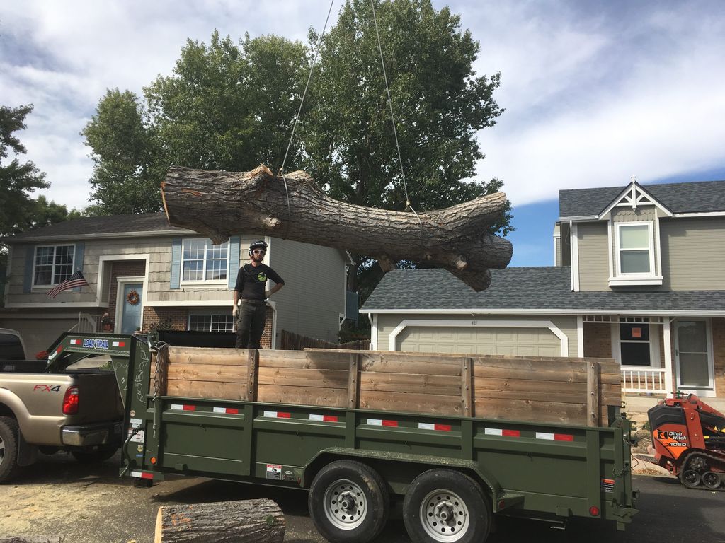 Tree Trimming and Removal