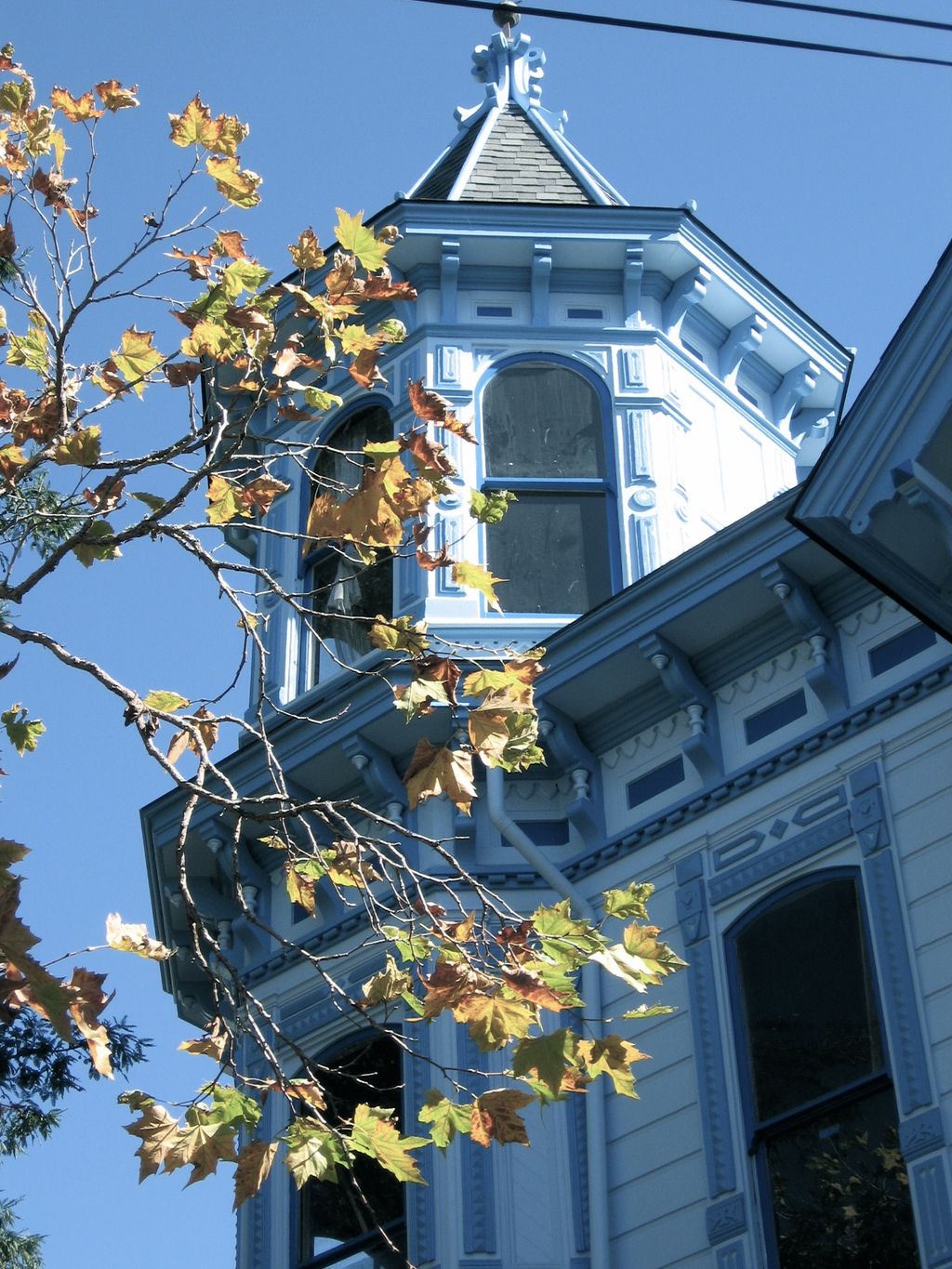 Weeks House, Santa Cruz          (Weeks House phot