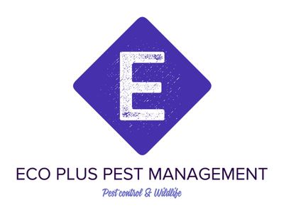 Avatar for Eco Plus Pest Management & Wildlife N.Y & N.J