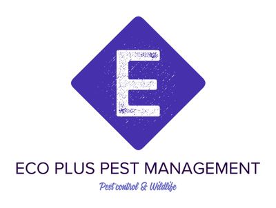 Avatar for Eco Plus Pest Management & Wildlife N.Y & N.J