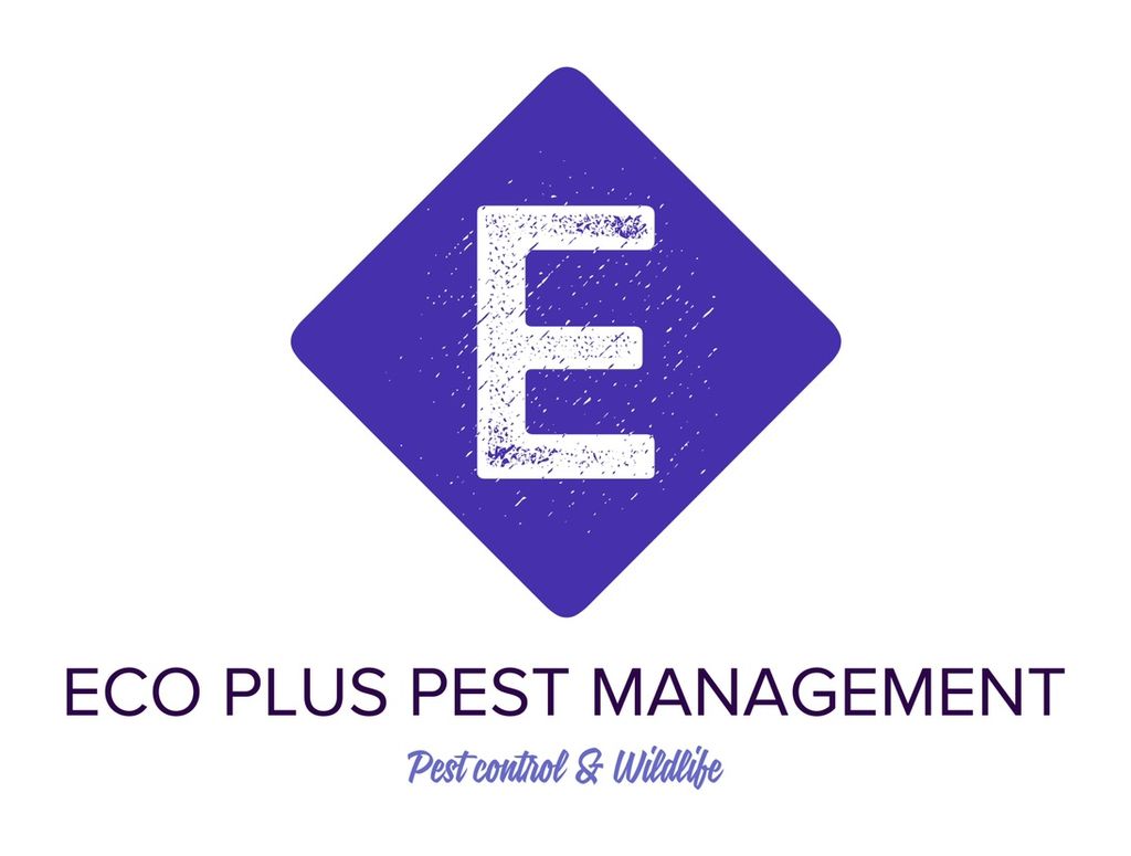 Eco Plus Pest Management & Wildlife N.Y & N.J