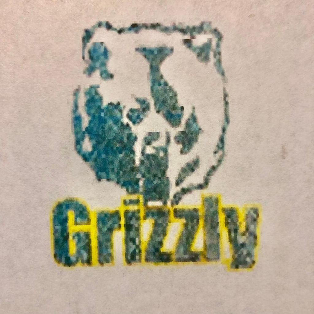 Grizzly Construction