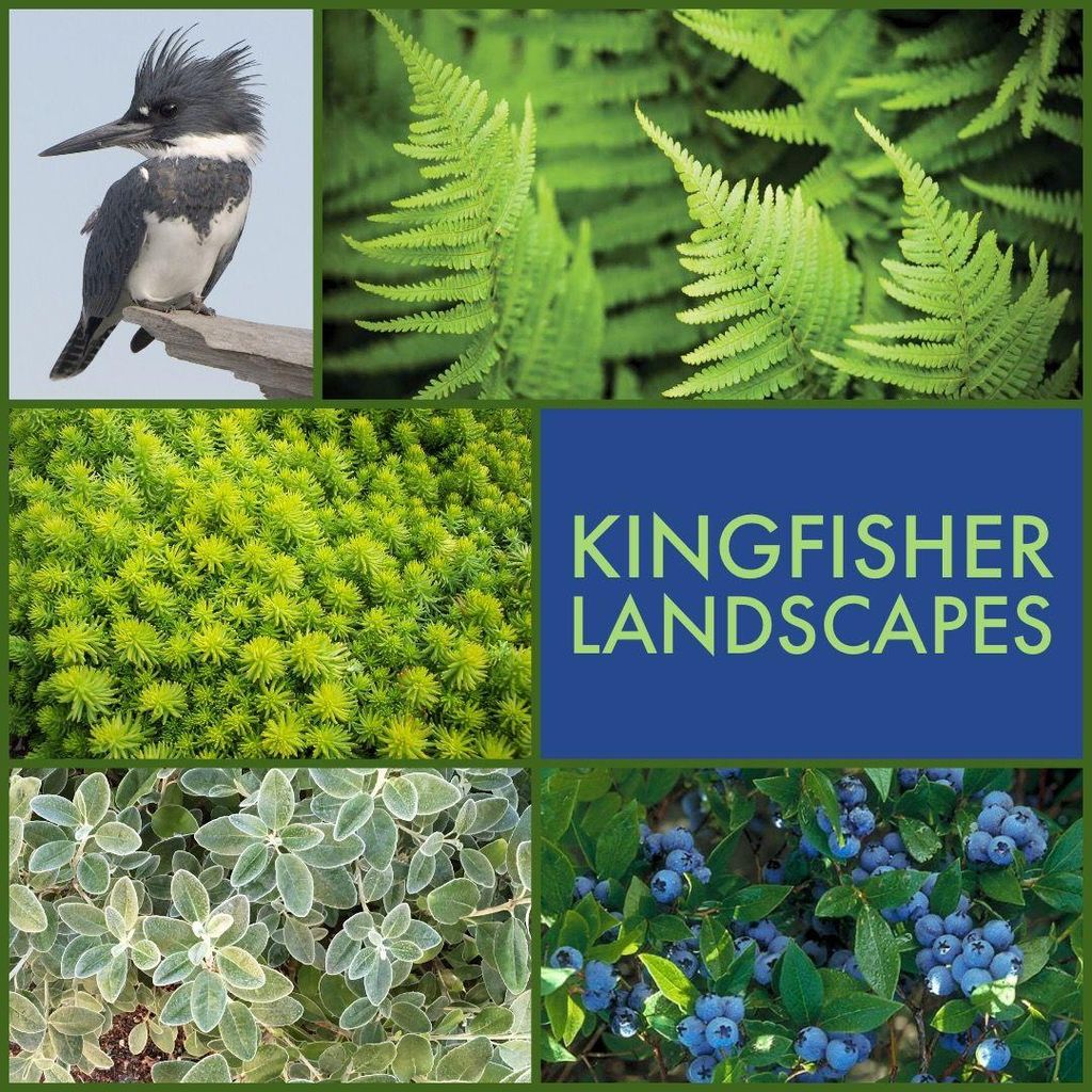 Kingfisher Landscaping