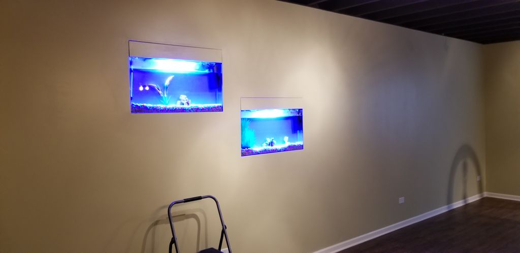 Custom In-Wall Fish Tanks, Naperville