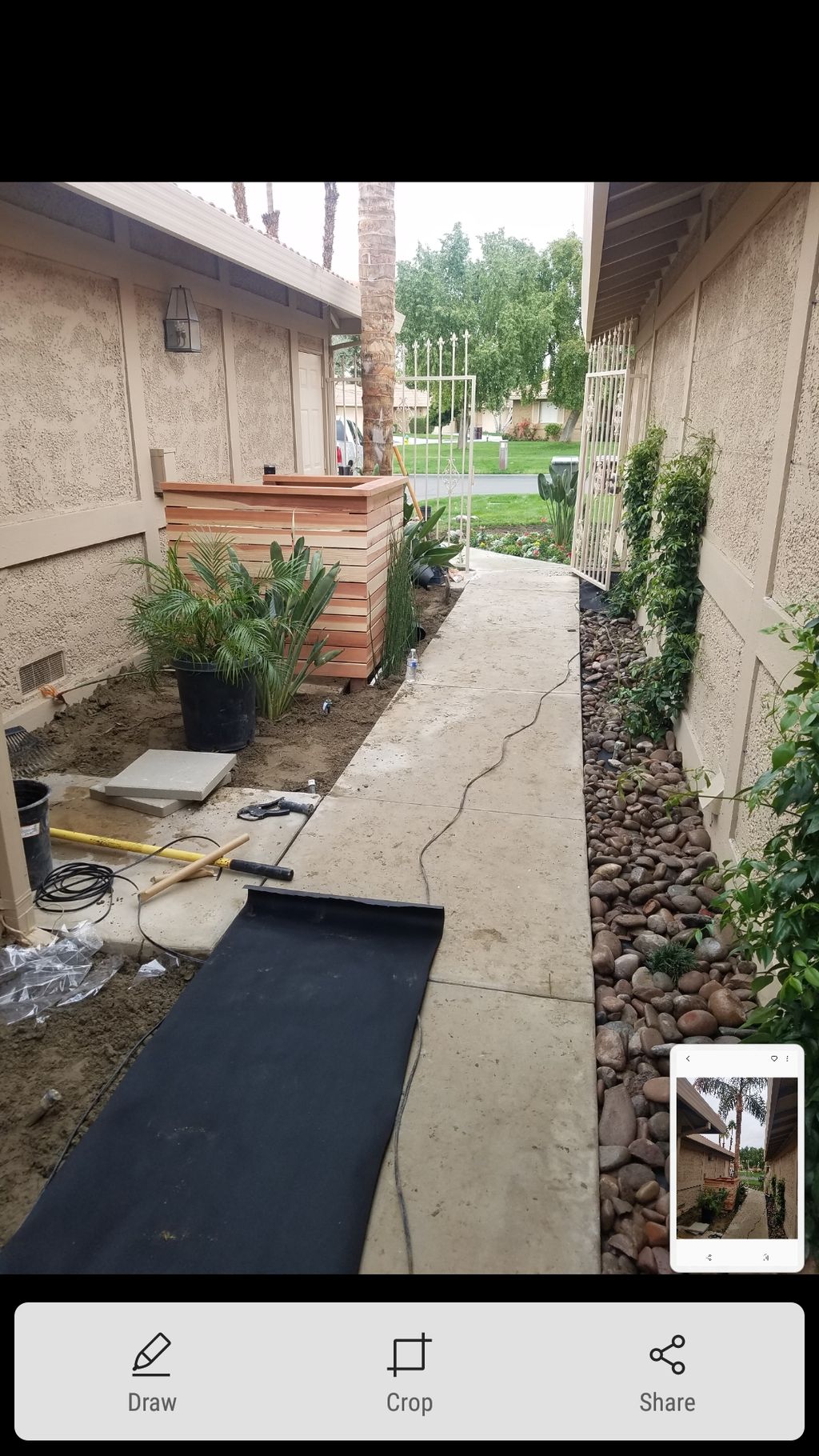 Projects and media