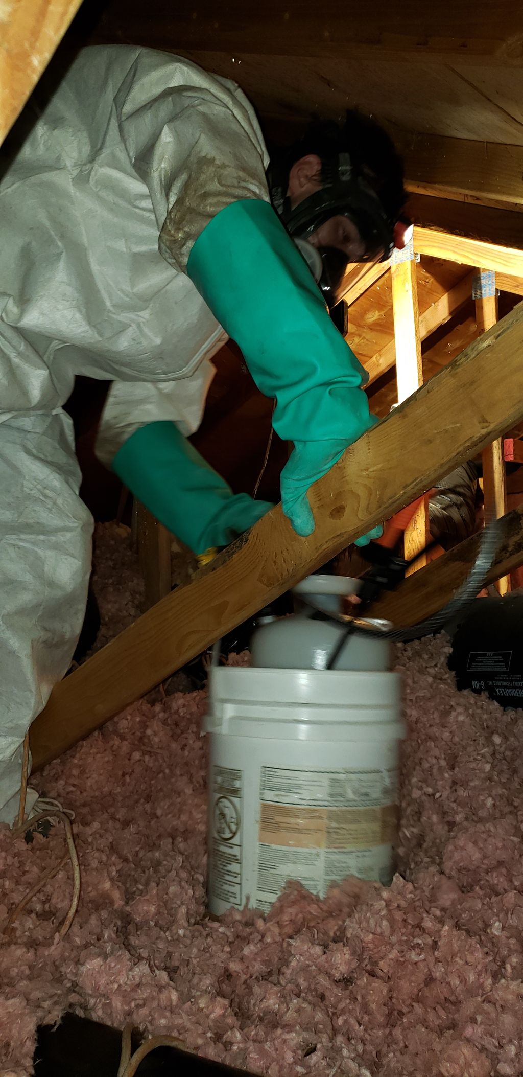 Mold Remediation Technician