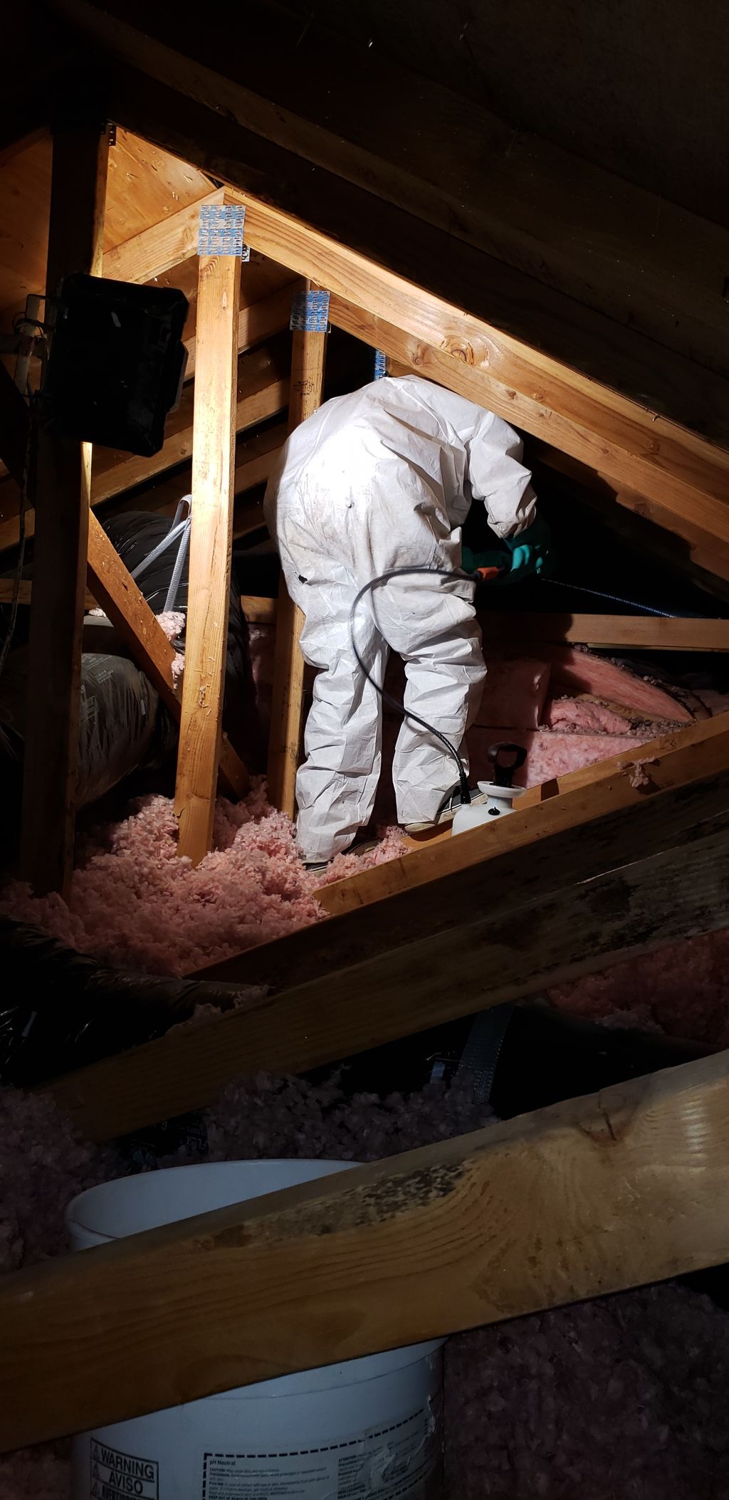 Mold Remediation Technician