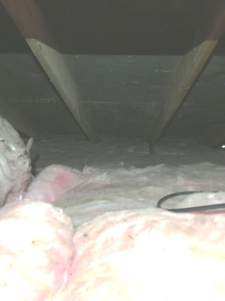 Attic Mold - Before