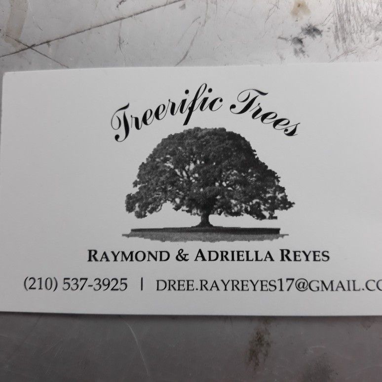 TREERIFIC TREES