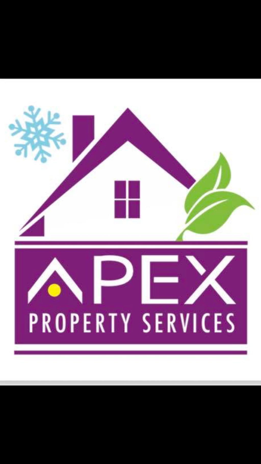 Apex Property Services