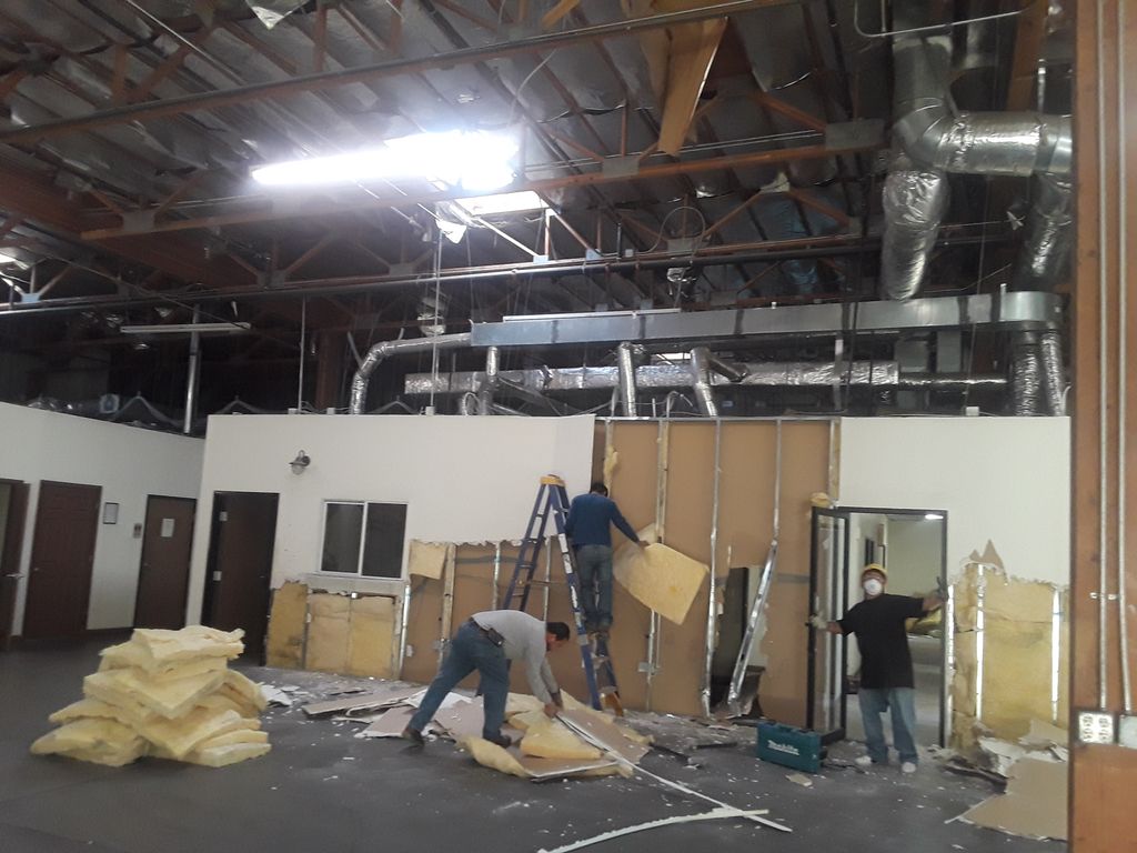 Projects and media