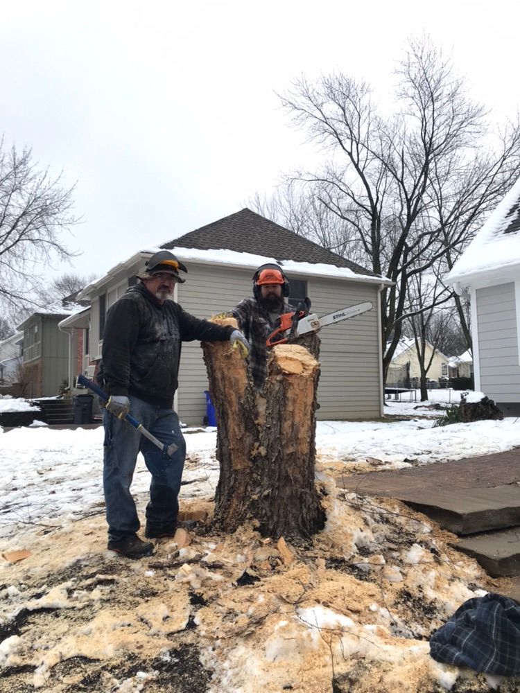 Photo#1 - After cutting 