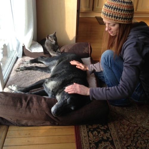 Integrated animal Reiki and massage
