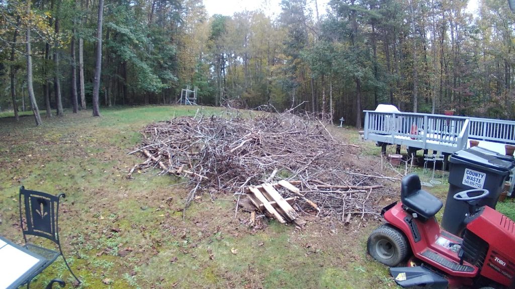 before brush removal