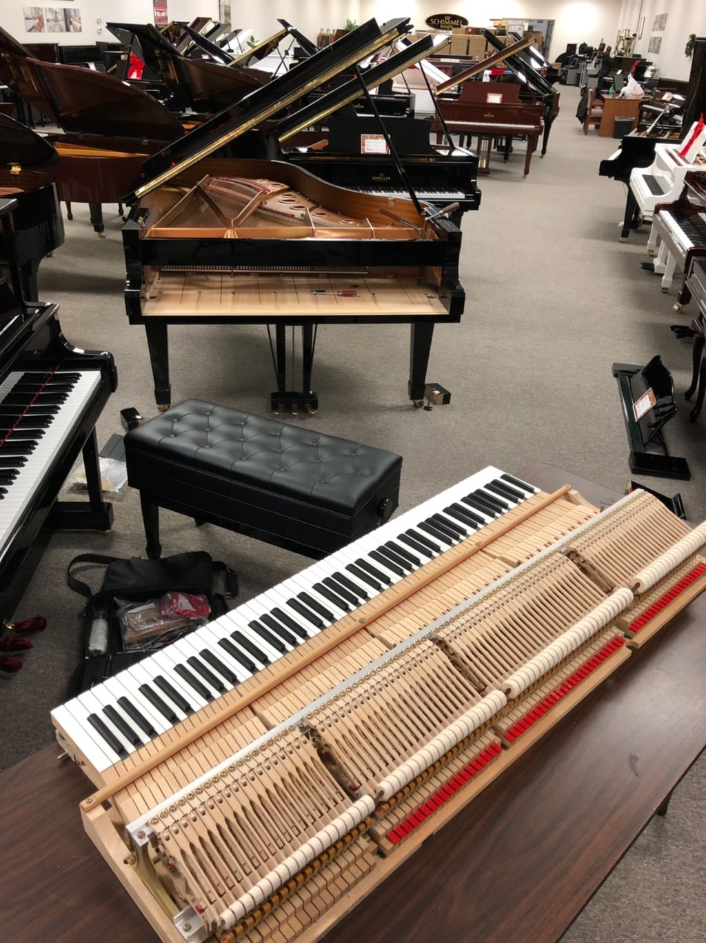 The keys and action removed on a Yamaha grand in o