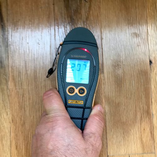 Mold inspection wet wood floor with moisture meter