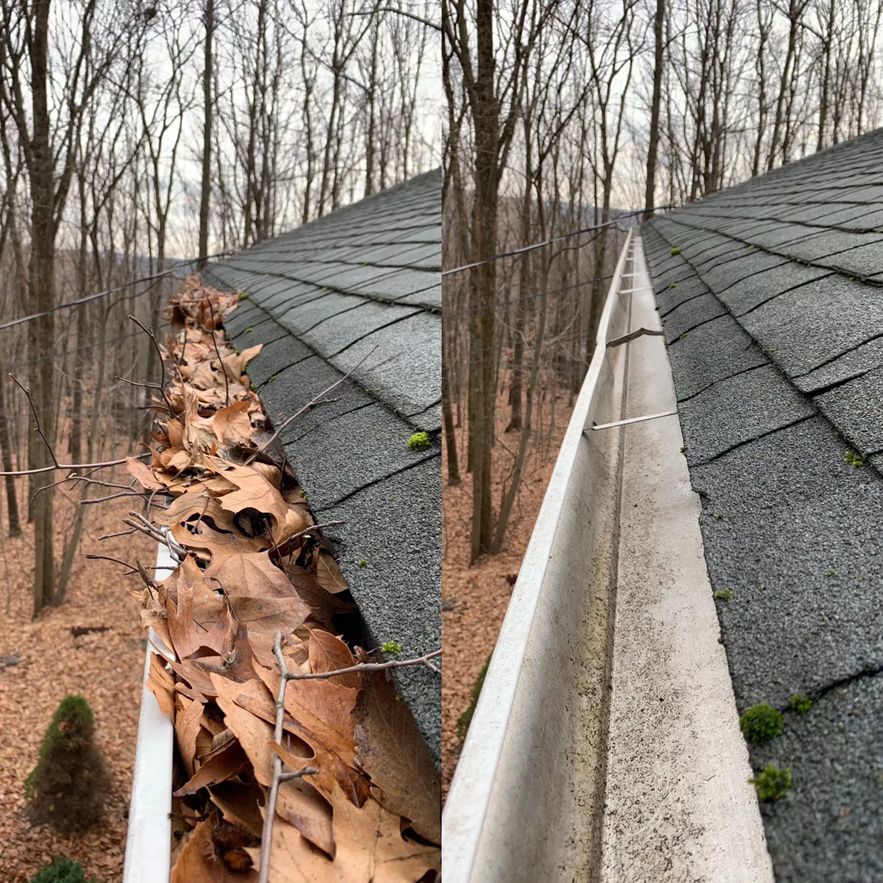 before and after photo of clean gutter vs gutter filled with leaves