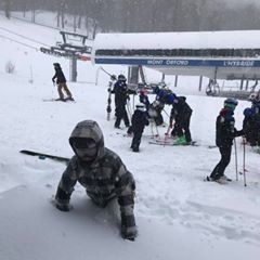 pro avatar