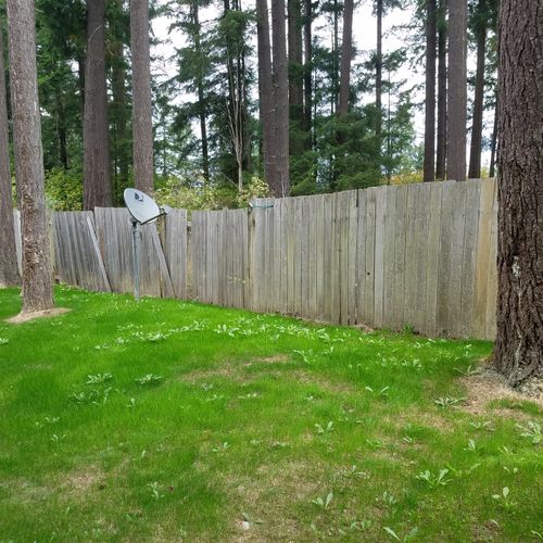 Busted cedar fence **Before