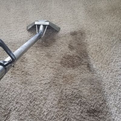 The 10 Best Upholstery Cleaning Services In Bradenton Fl 2021