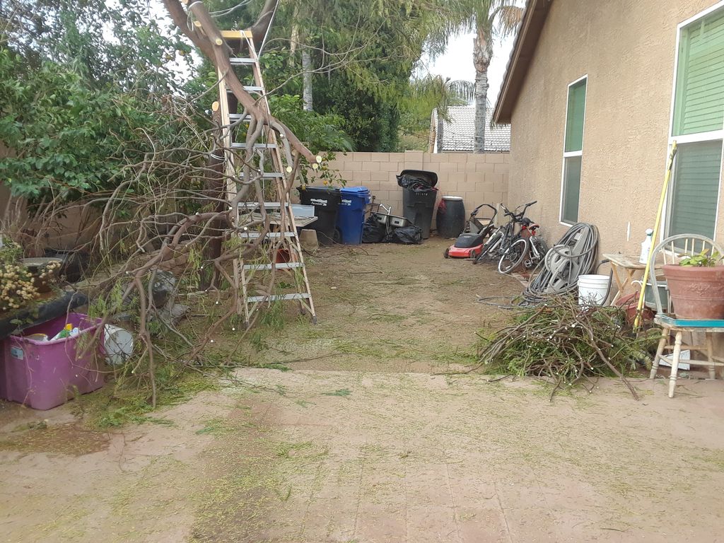 Before artificial turf and pavers