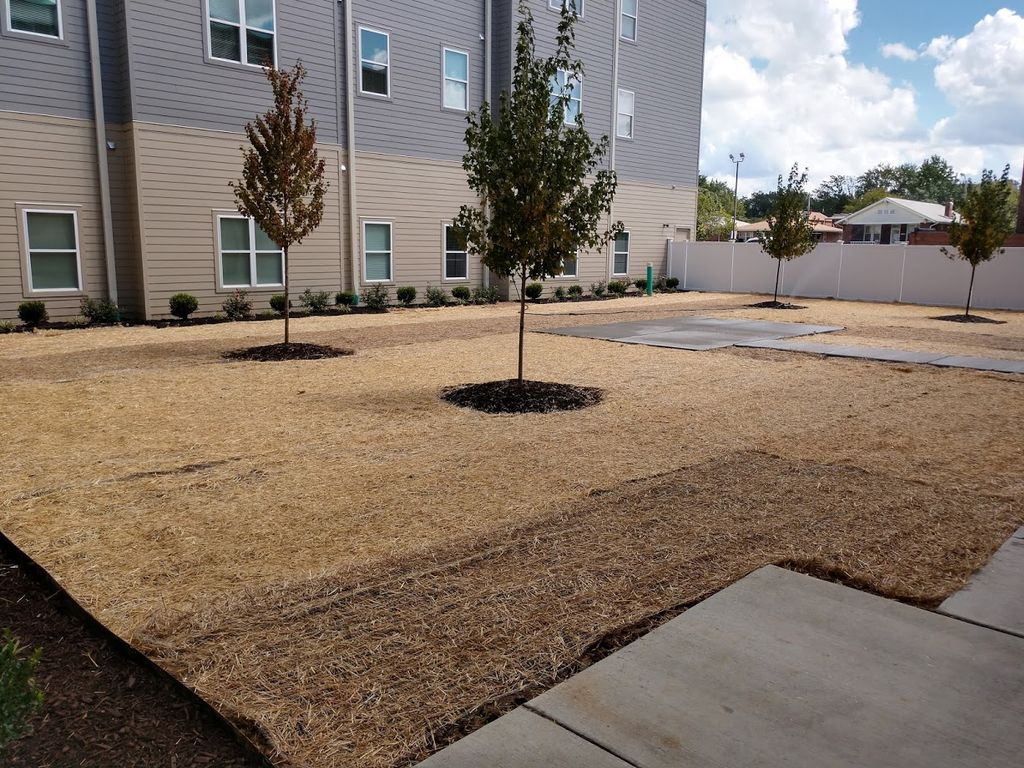 Seeding w/Straw Blanket