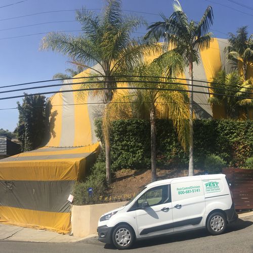 Termite Fumigation in Beverly Hills, CA