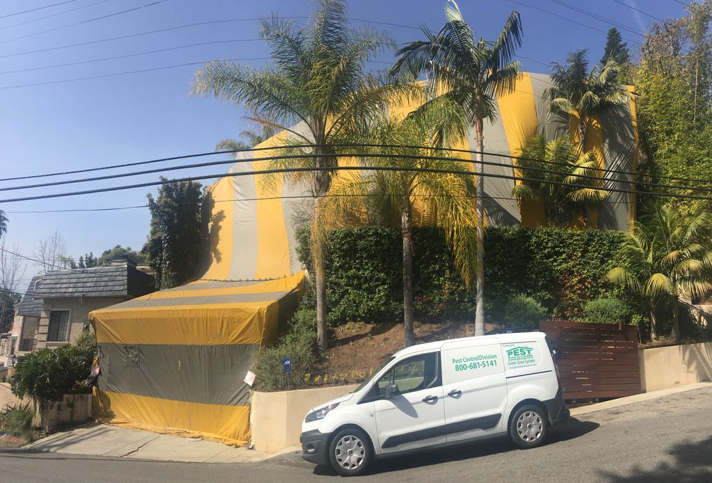 Termite Fumigation in Beverly Hills, CA
