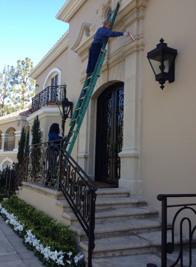 Bird Control in Beverly Hills, CA