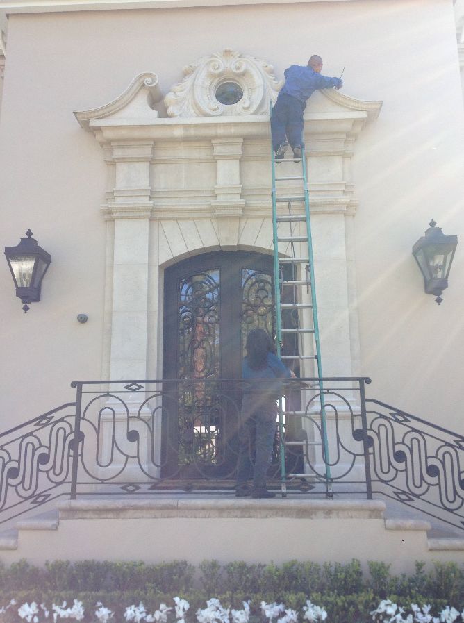 Bird Control in Beverly Hills, CA