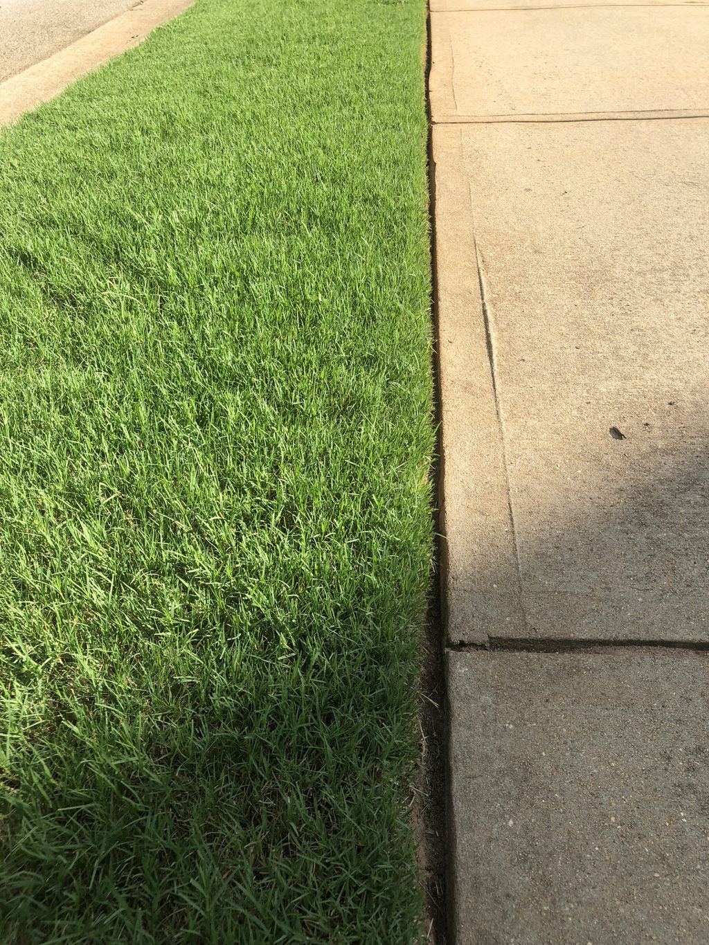 Full Service Lawn Care