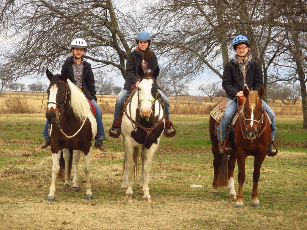 Horse friends are the best!