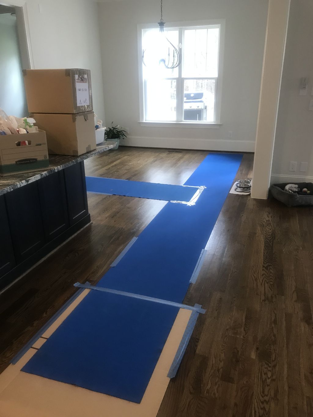 Projects and media