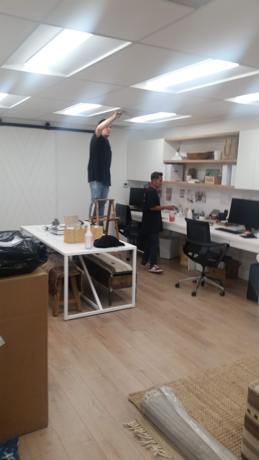 Projects and media