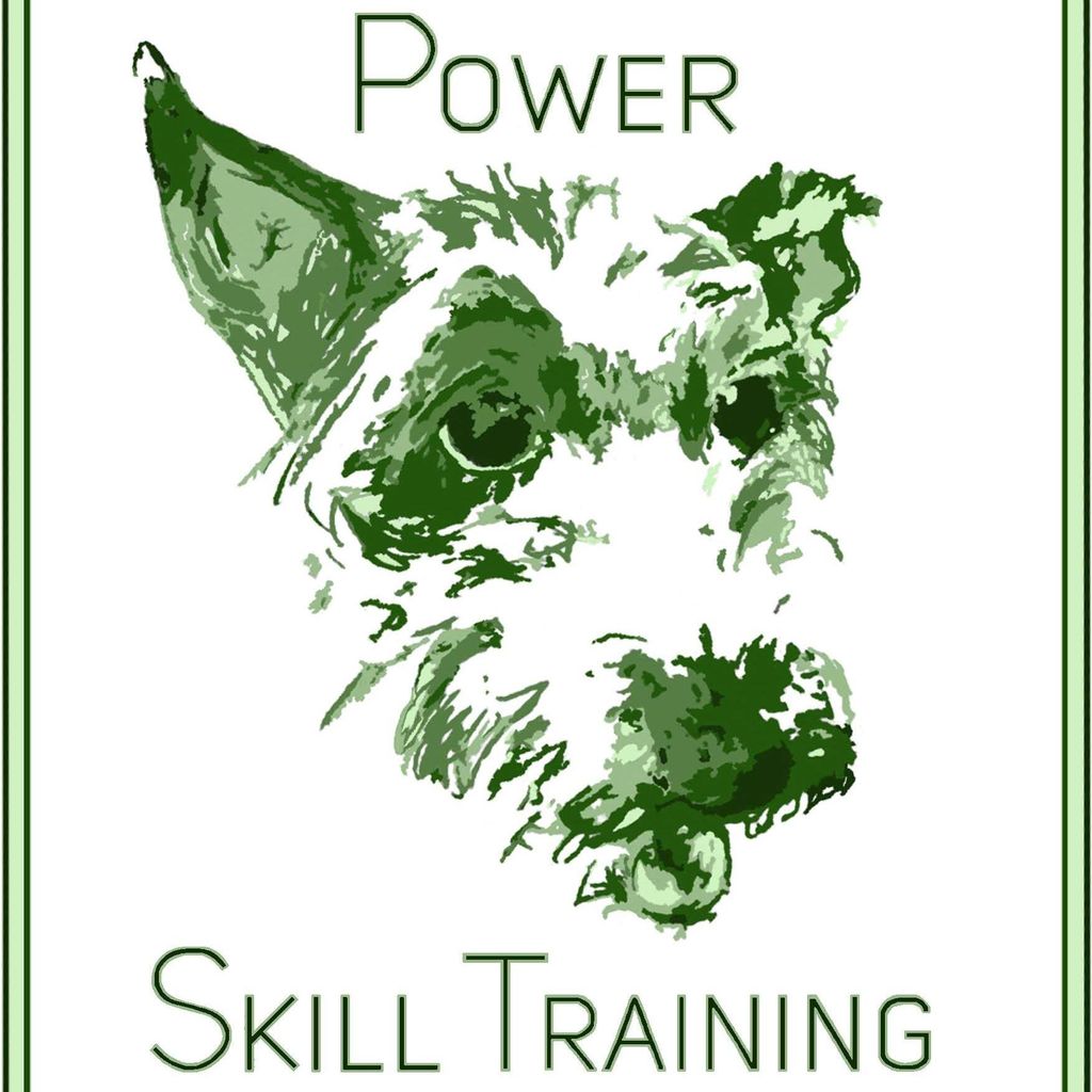 Power Skill Training