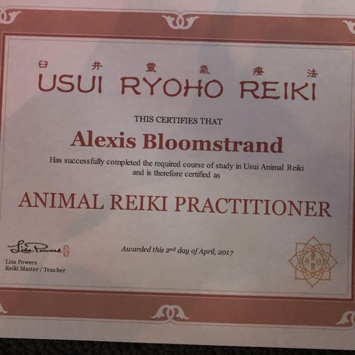Animal Reiki Master Teacher certification 